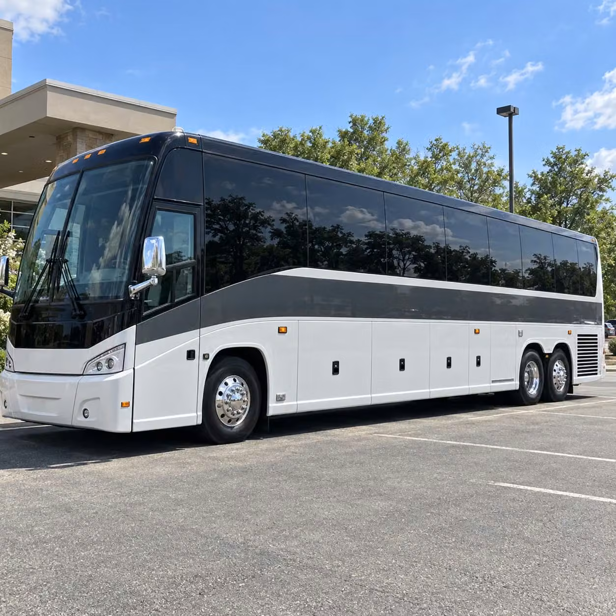 56 passenger charter bus